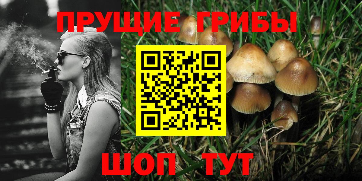 Псилоцибиновые грибы мицелий  Вход с VPN  Орехово-Зуево 